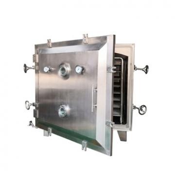 Food Industrial Electric Heating Cheese Vacuum Dryer