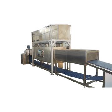 Large Capacity 800kg/H Automatic Vegetable Lettuce Cabbage Washer Thawing Machine (TS-X680S)