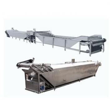 Large Capacity 800kg/H Automatic Vegetable Lettuce Cabbage Washer Thawing Machine (TS-X680S)