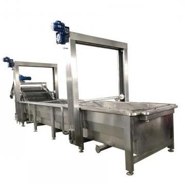 Commercial Washer, Vegetable Frozen Meat Thawing Machine with Single Tank